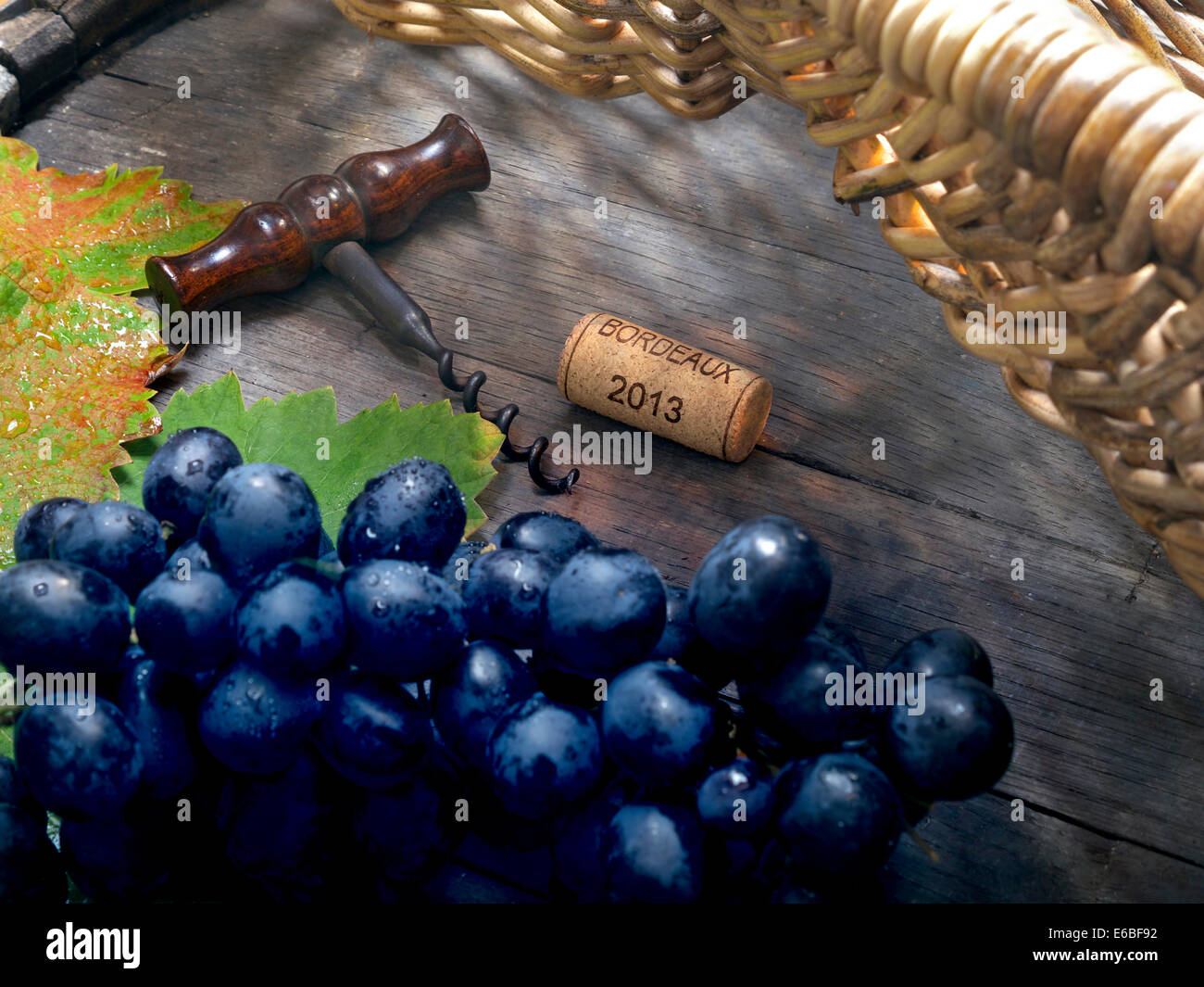 Merlot grapes Wine cellar situation with grape pickers basket dark grapes corkscrew and Bordeaux 2013 cork on wine barrel Stock Photo