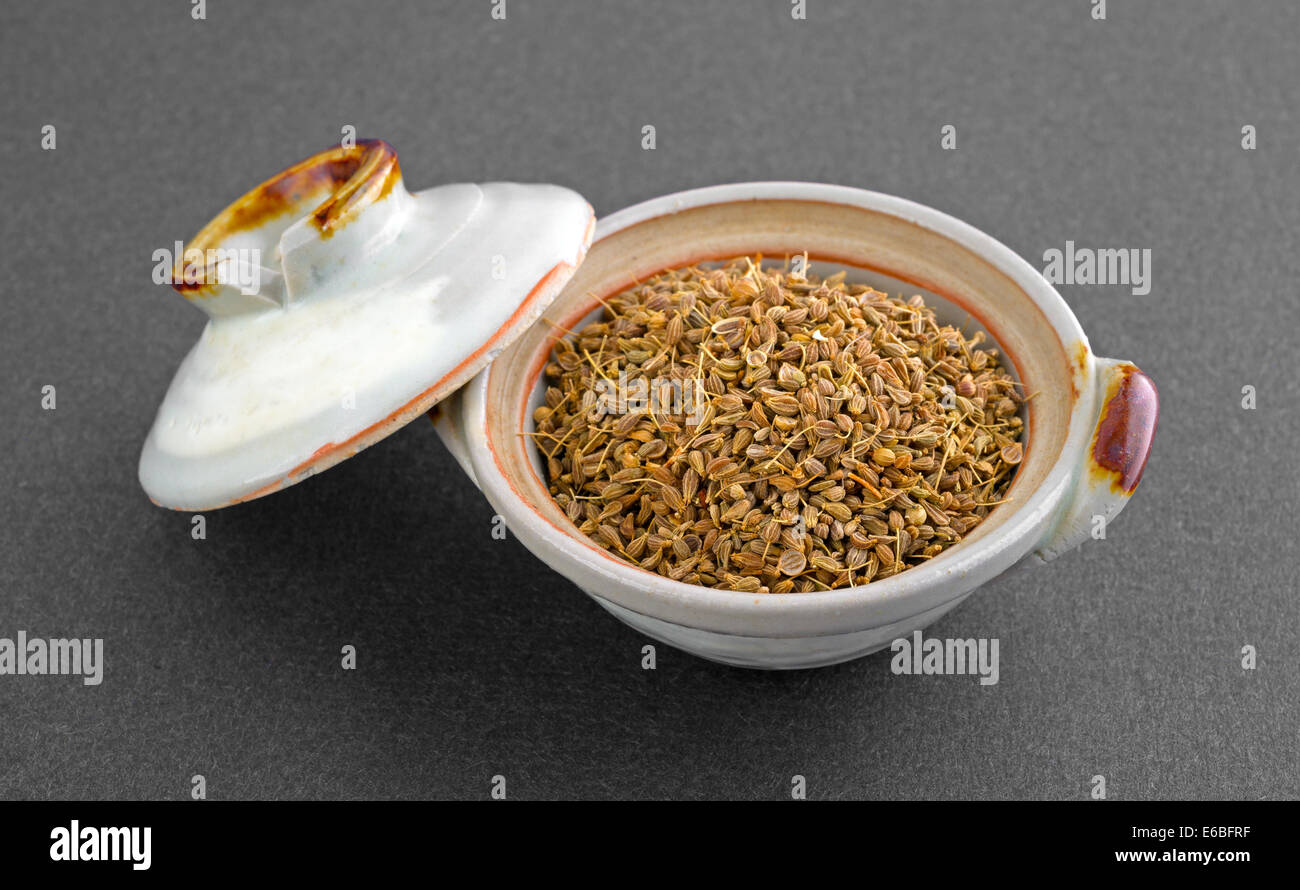 A small bowl with separate lid of anise seeds on a dark background. Stock Photo