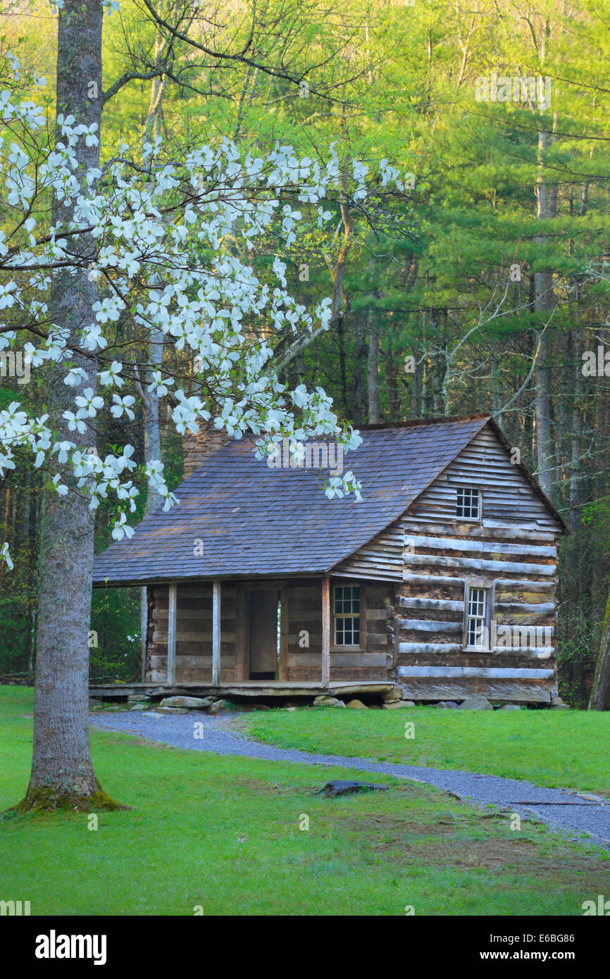 Carter Shields Cabin, Cades Cove, Great Smoky Mountains National Park