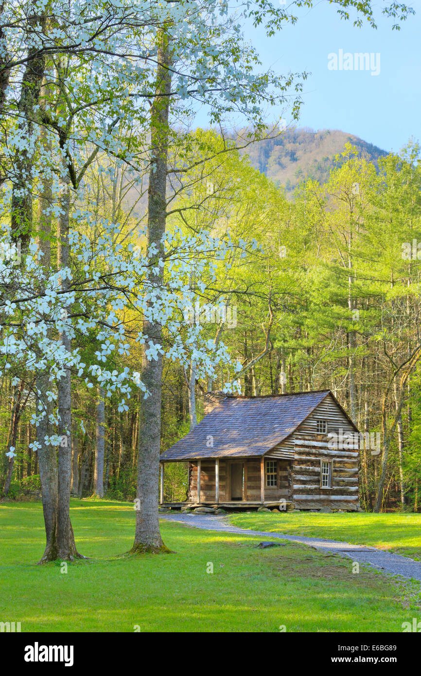 Carter Shields Cabin, Cades Cove, Great Smoky Mountains National Park