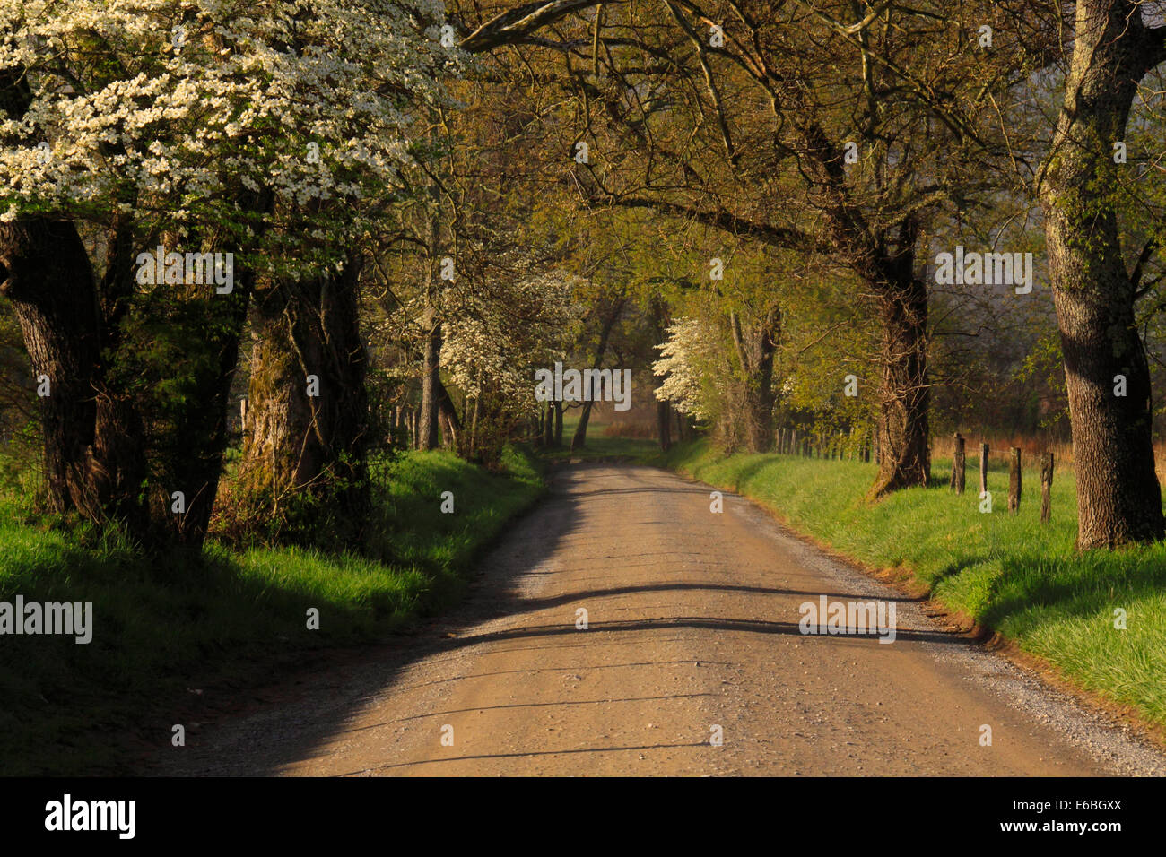 Sparks Lane, Cades Cove, Great Smoky Mountains National Park, Tennessee