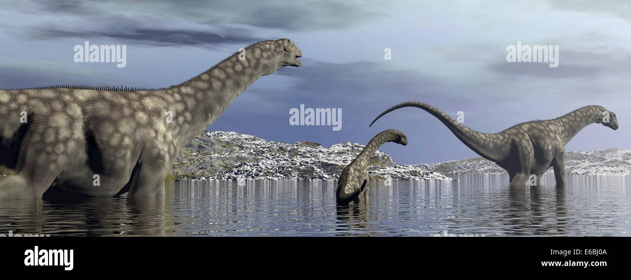 Argentinosaurus dinosaur family walking in the water by morning light. Stock Photo