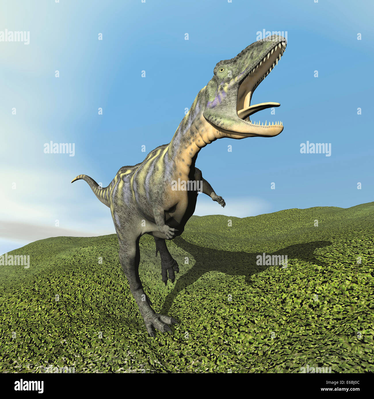 Aucasaurus dinosaur bellows a loud roar. Stock Photo