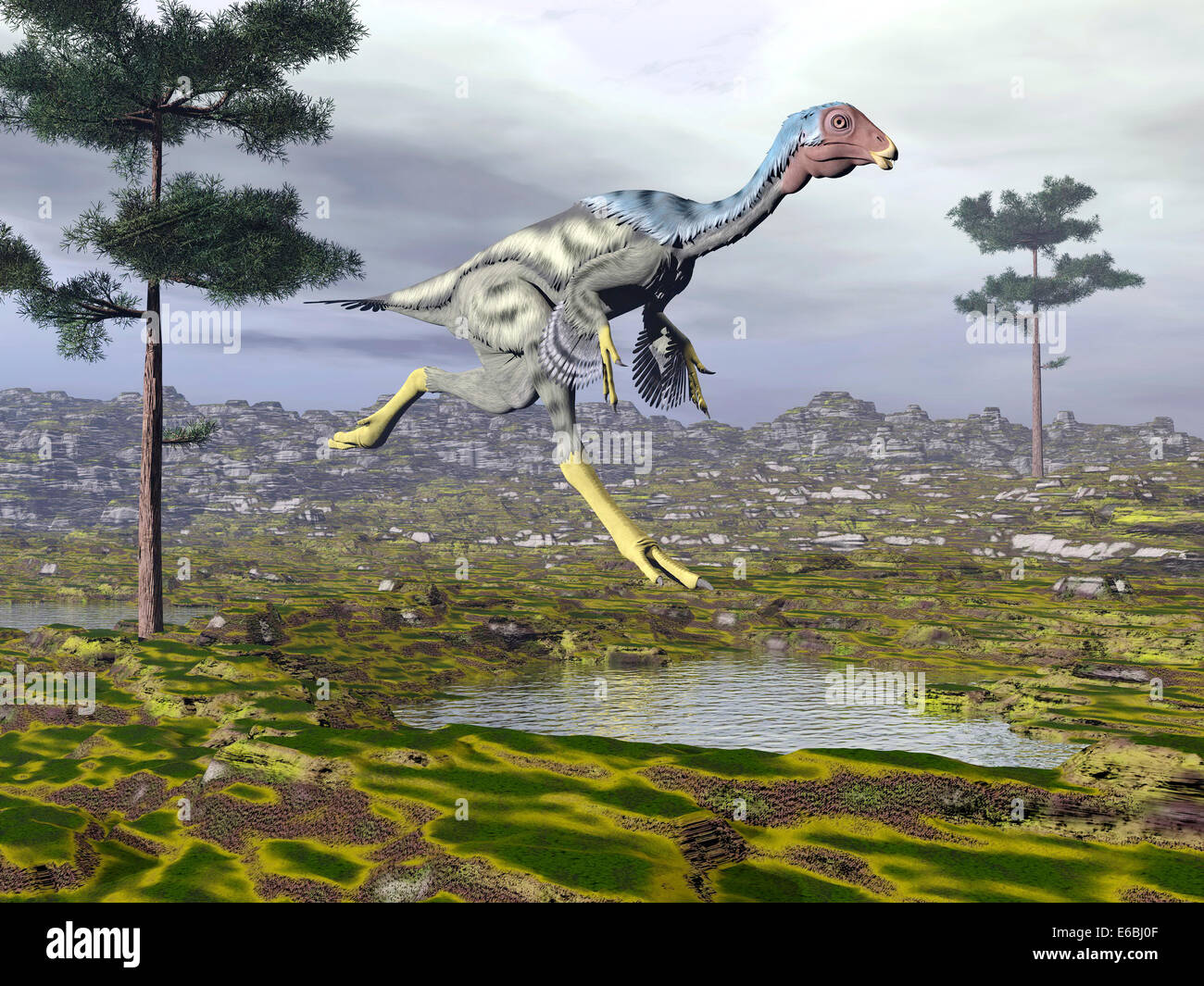 Caudipteryx dinosaur. Stock Photo