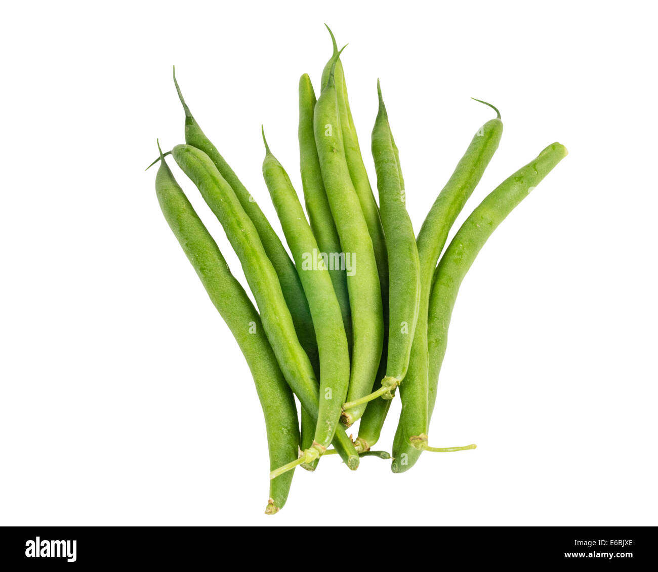 Snap beans hires stock photography and images Alamy