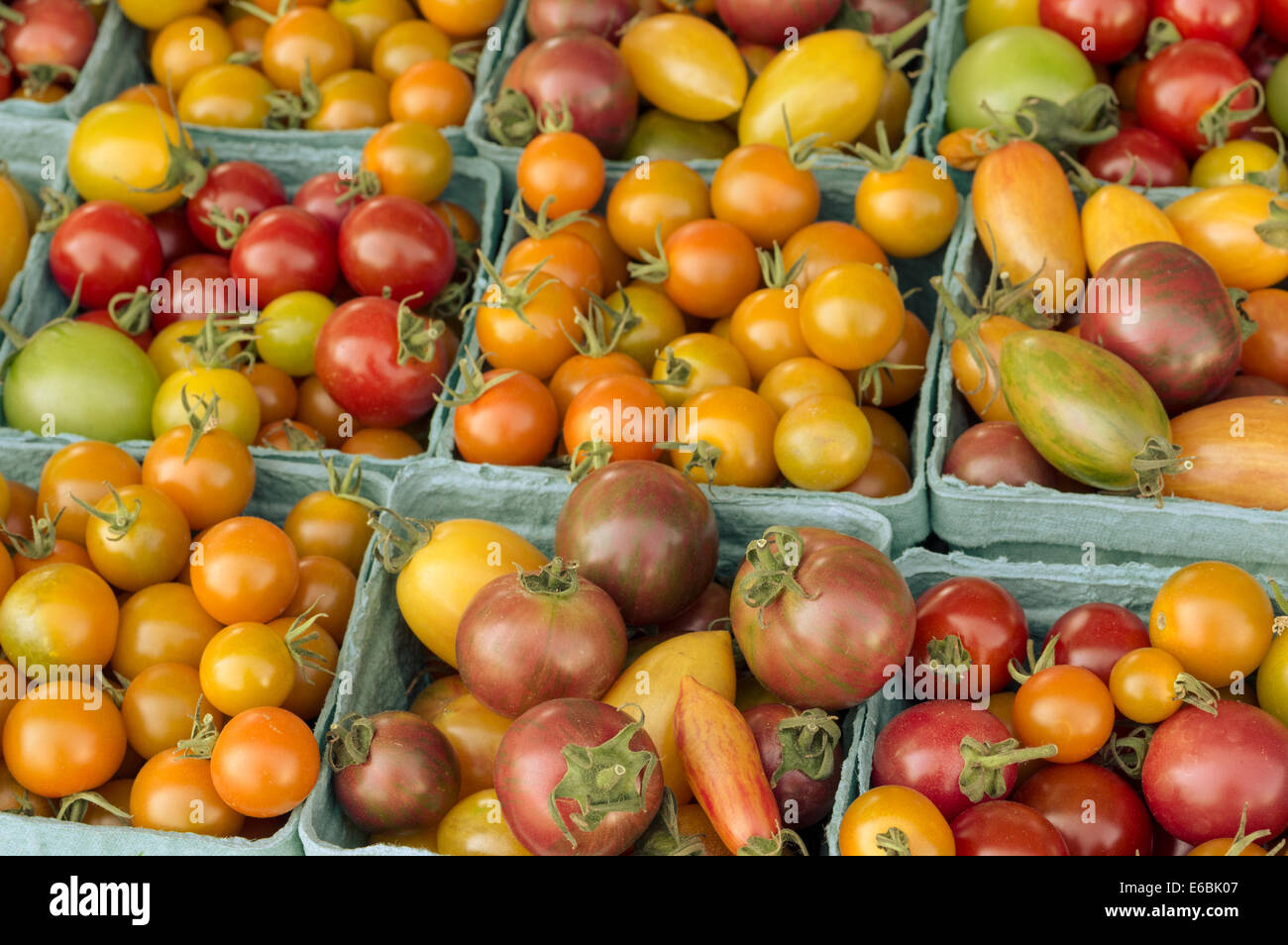 Boxes of heirloom cherry tomatoes at the farmers market faded Stock ...