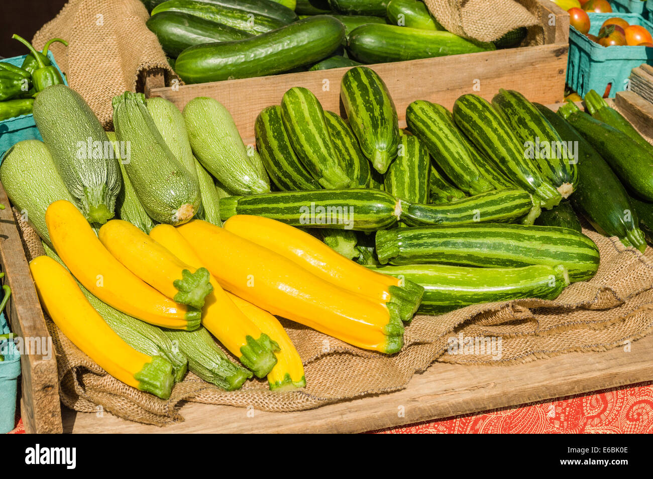 Squash summer and zucchini on display at the farmers market Stock Photo ...