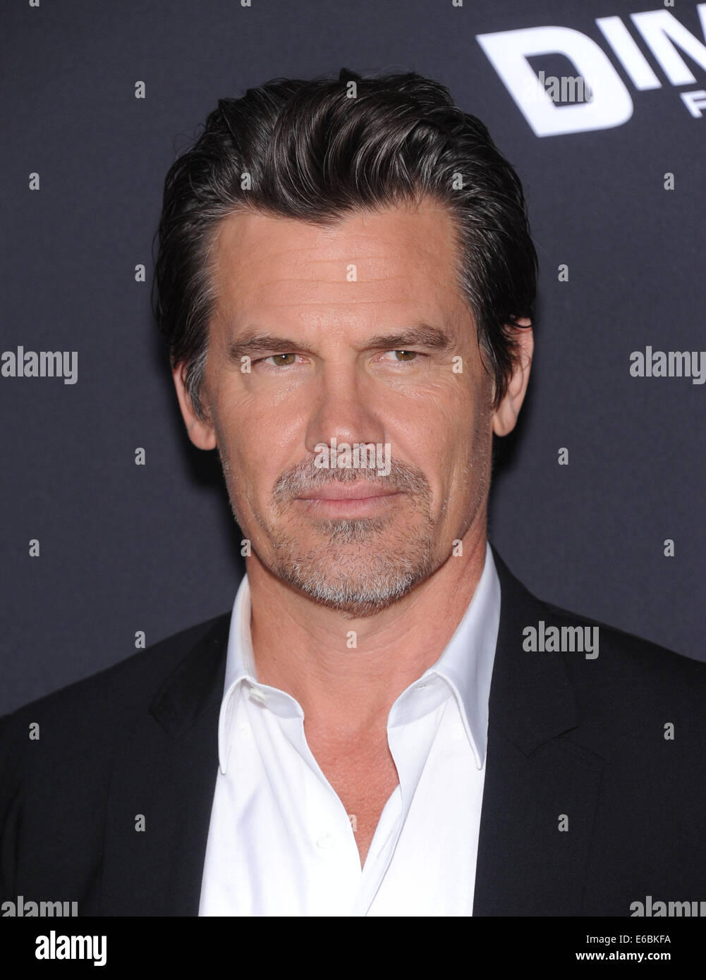 Hollywood, California, USA. 19th Aug, 2014. Josh Brolin arrives for the premiere of the film ''Sin City: A Dame To Kill For'' at the Chinese theater. Credit:  Lisa O'Connor/ZUMA Wire/Alamy Live News Stock Photo