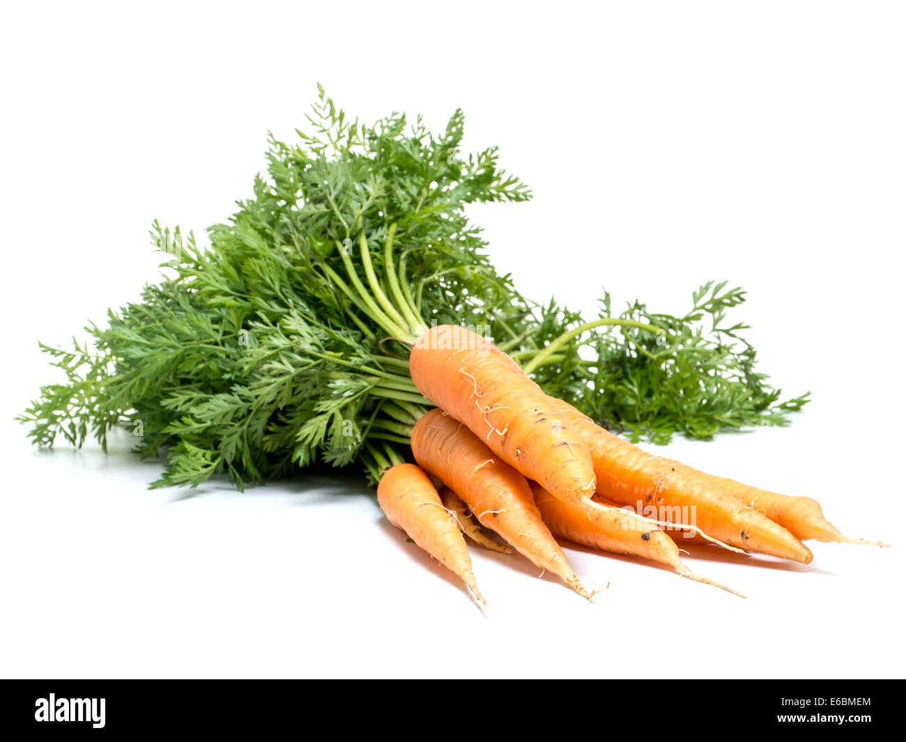 Bunch of fresh carrots shot on white Stock Photo