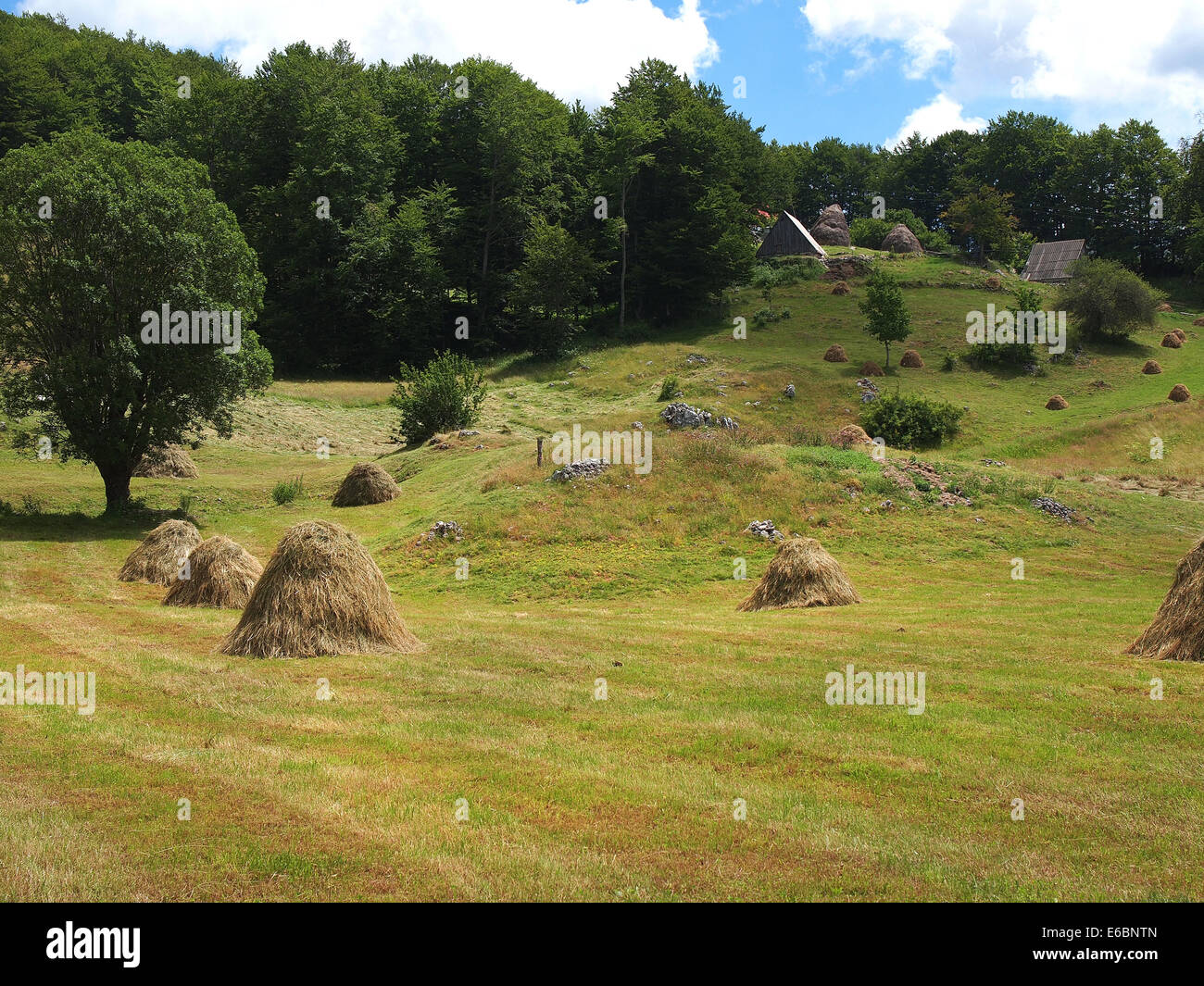 mountain in the summer time with haystack under the cloudy sky Stock ...