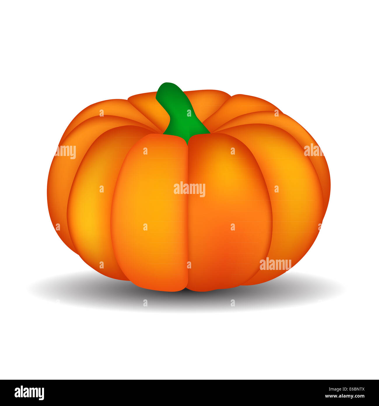 Fresh Orange Pumpkin Isolated on White Background Vector Illustr Stock ...