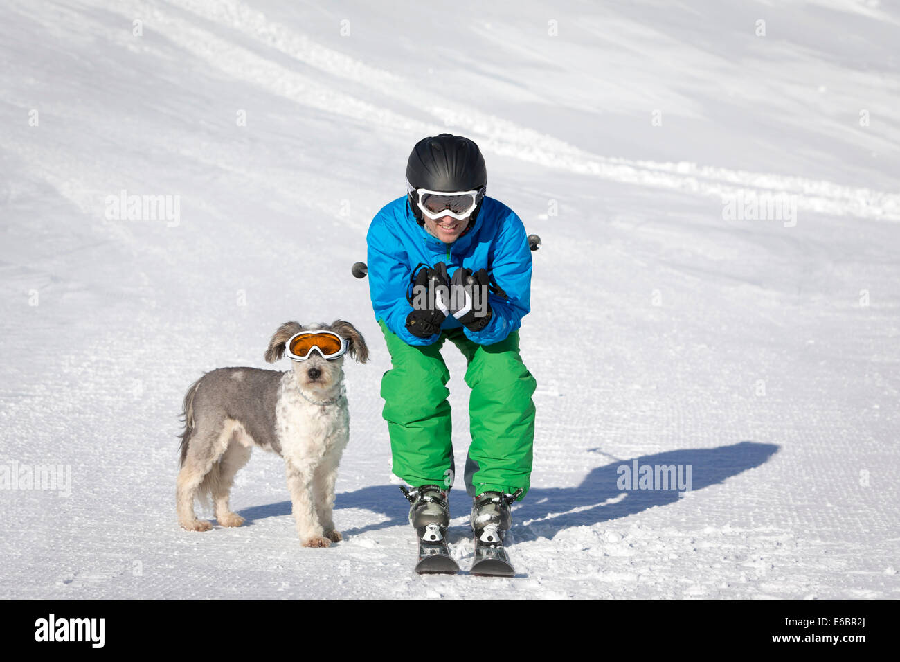 A skier and his dog with snow goggles on a ski slope, Carosello 3000, Livigno, Lombardy, Italy Stock Photo