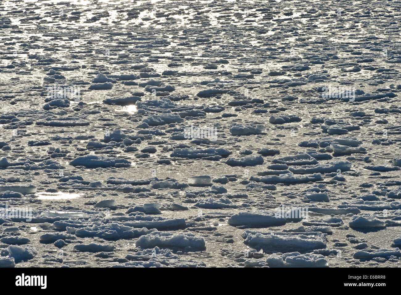 Icebergs, pack ice, Arctic Ocean, Spitsbergen, Svalbard Islands, Svalbard and Jan Mayen, Norway Stock Photo