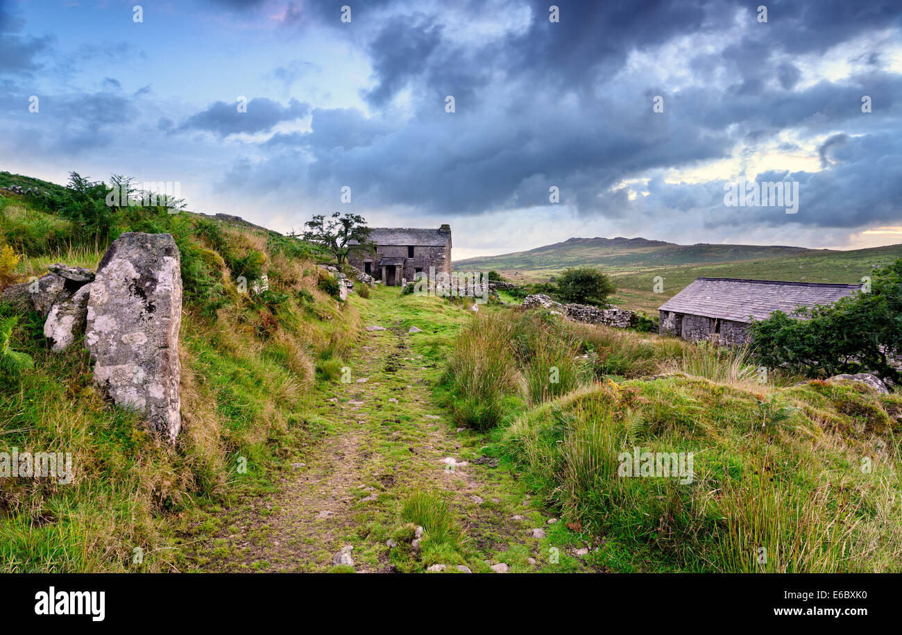 Ancient abandoned farm house and stone barn on Bodmin Moorl with Brown