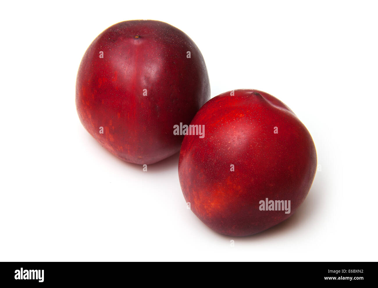 Nectarines isolated on a white studio background Stock Photo Alamy