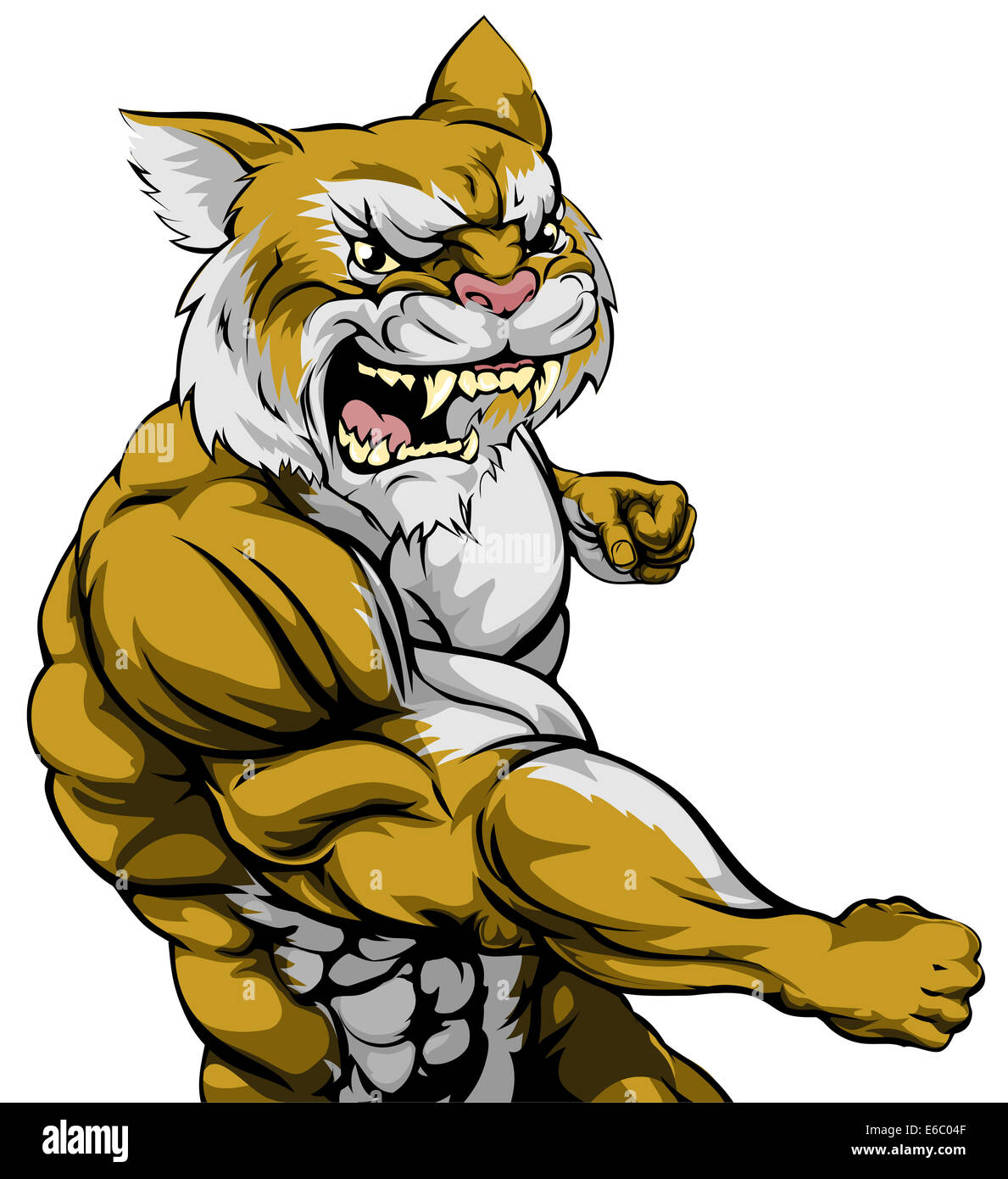 Wildcat Racing Character An illustration of a tough wildcat animal character or sports mascot ...
