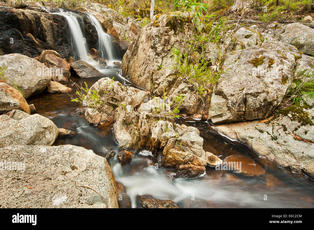 Myanba Creek in South East Forests National Park. Stock Photo