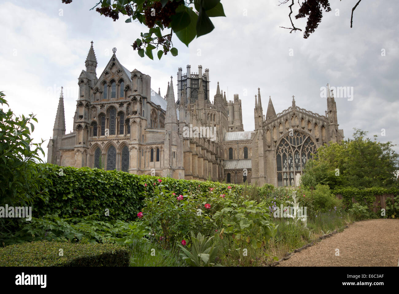 East view of Ely Cathedral from garden Stock Photo - Alamy