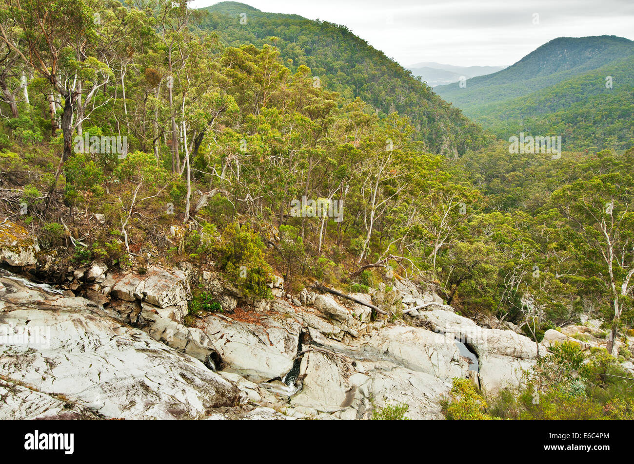 View into Myanba Gorge in South East Forests National Park. Stock Photo