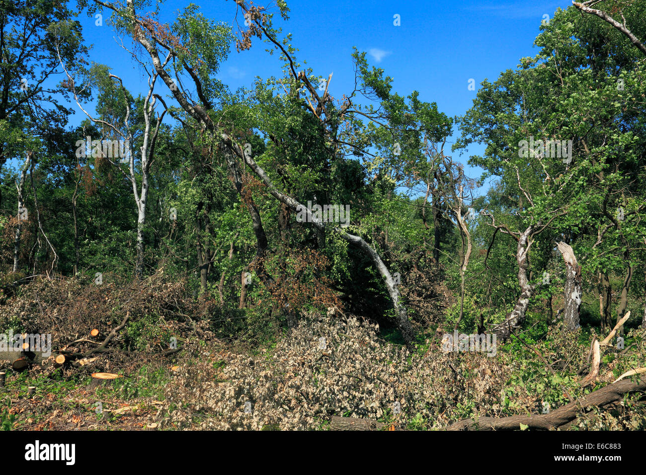 Unwetterschaeden Hi Res Stock Photography And Images Alamy