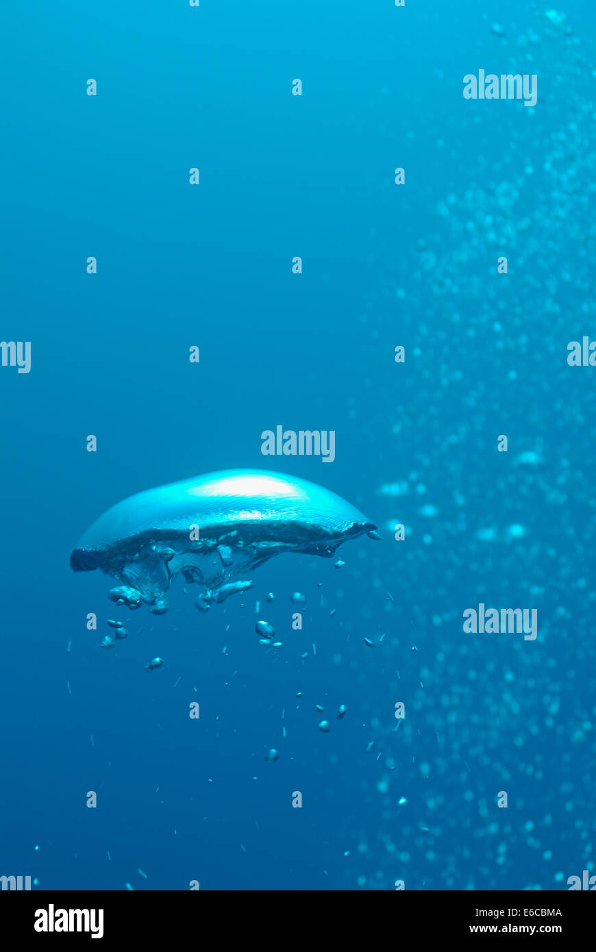 Scuba Diver's air bubbles rising-up to surface, Underwater view Stock Photo