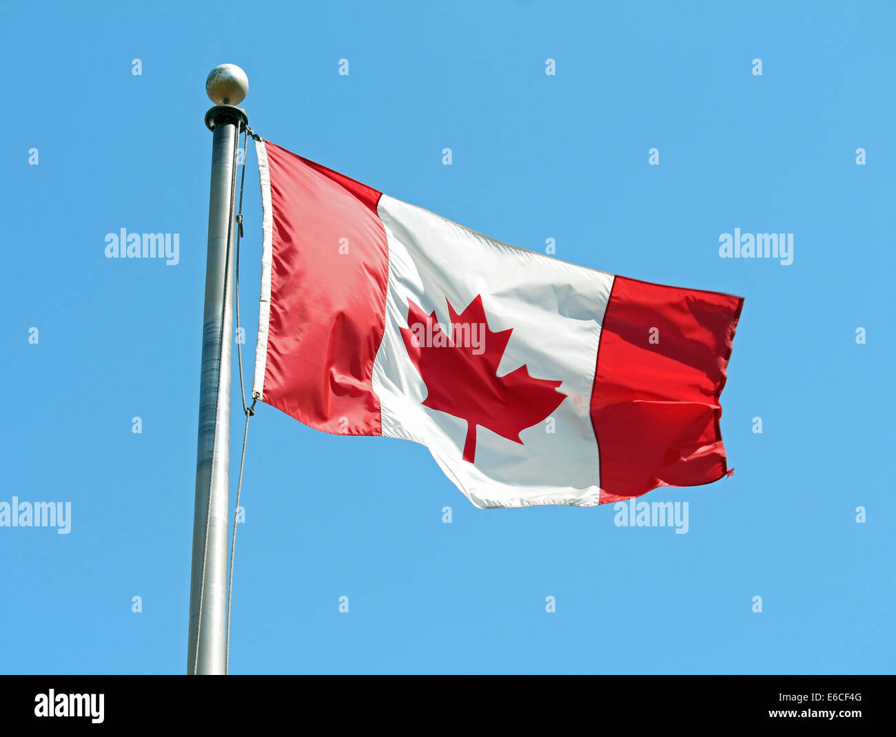 A Canadian flag waving in the wind against a blue sky Stock Photo