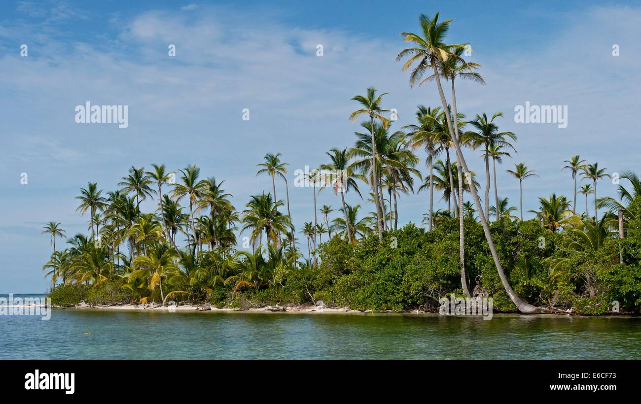 Palm trees and ocean. San Blas Islands Stock Photo - Alamy