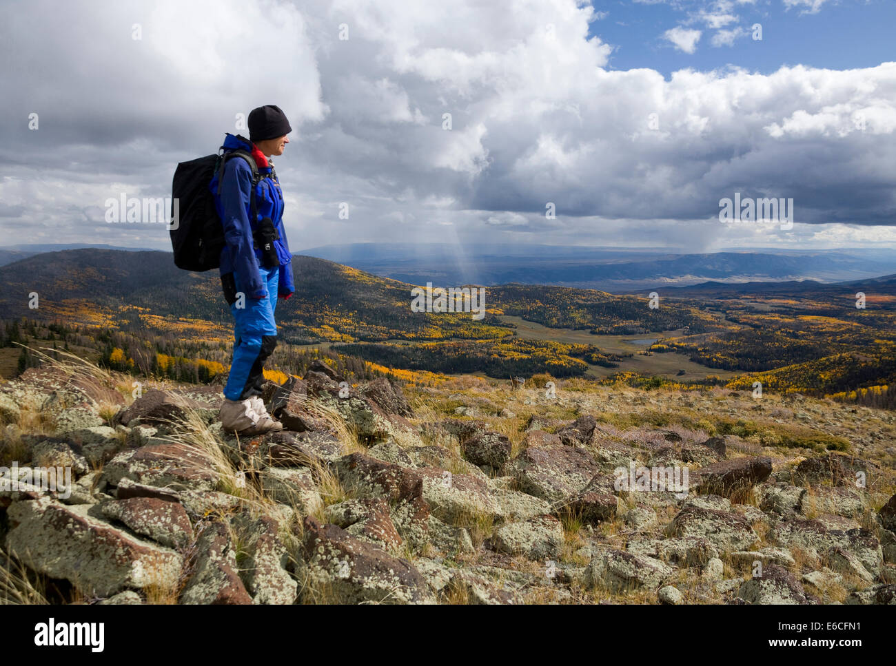 Utah. USA. Woman hiker on Glenwood Mountain in autumn. Sevier Plateau. Fishlake National Forest. (MR) Stock Photo