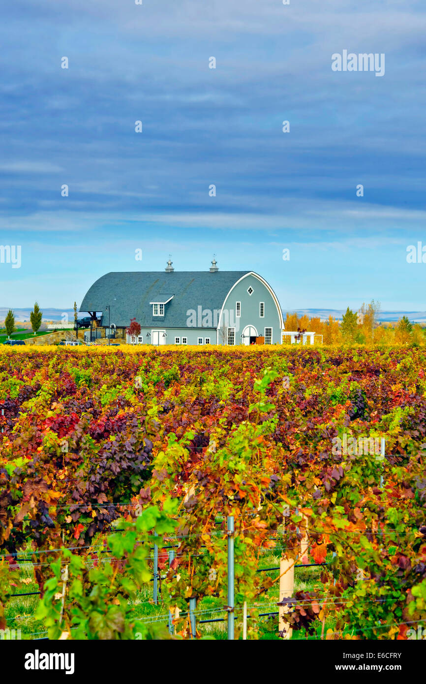 USA, Washington, Walla Walla. Garrison Creek Cellars stands in the Les