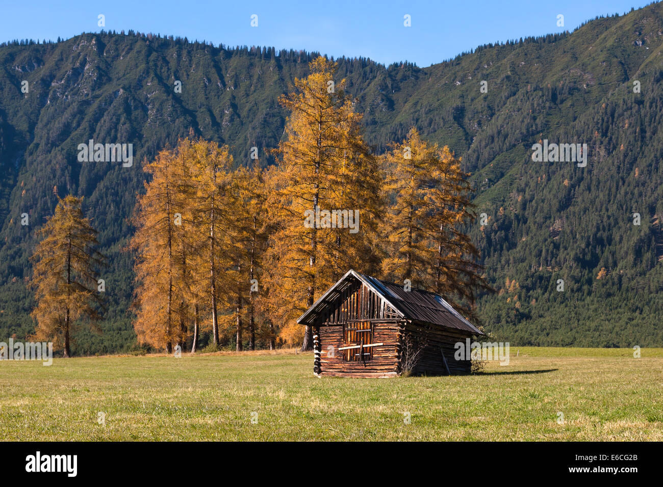 alpine landscape of the Mieming Plateau with alpine hut, Austria, Tyrol Stock Photo