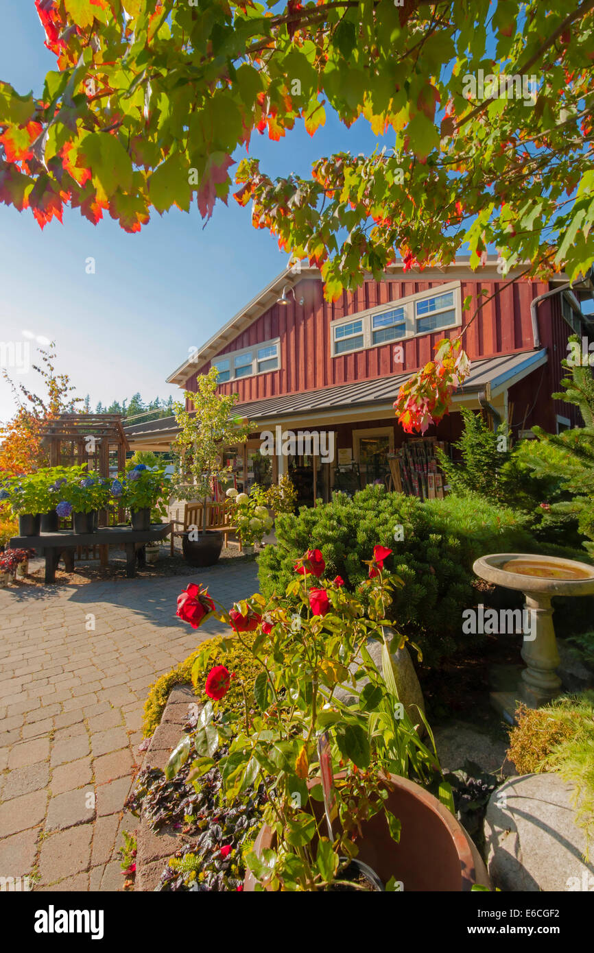 USA, Washington, Whidbey Island, Langley. Storefront in Langley on