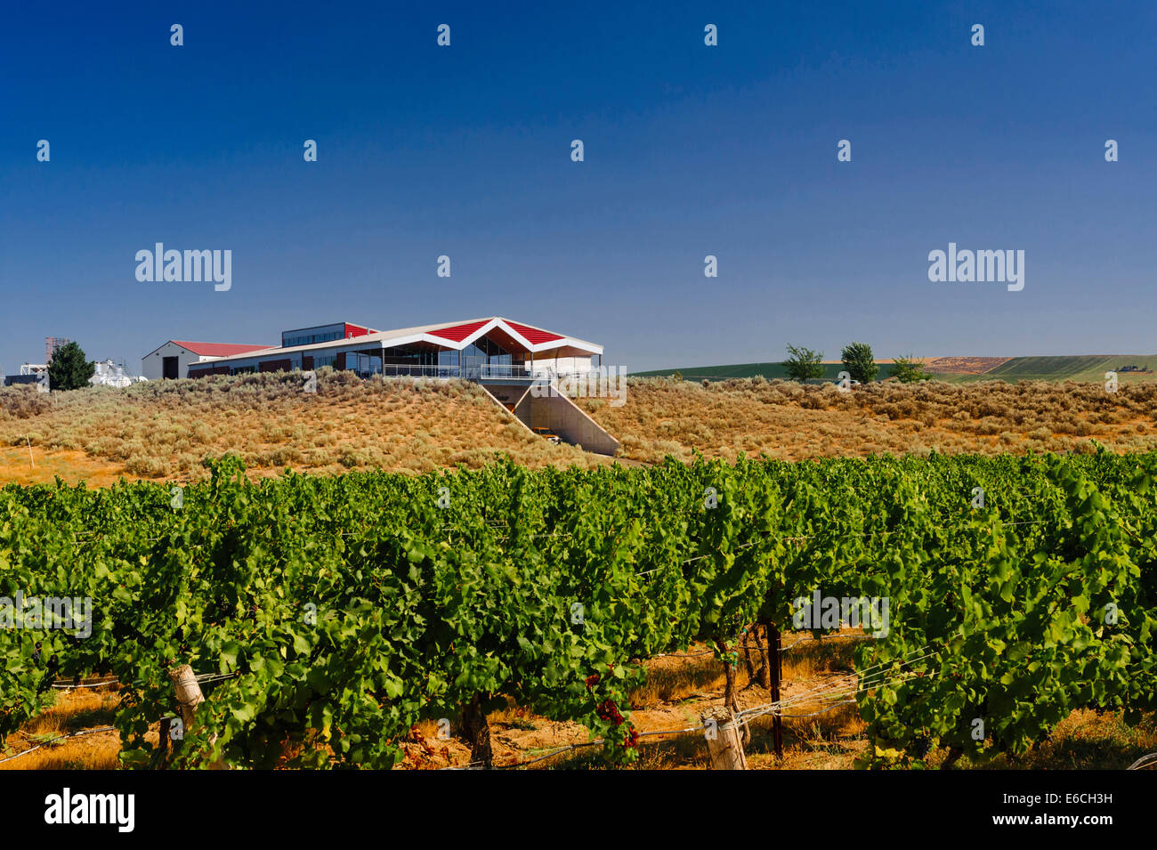 USA, Washington, Yakima Valley. A winery in the Yakima Valley overlooks