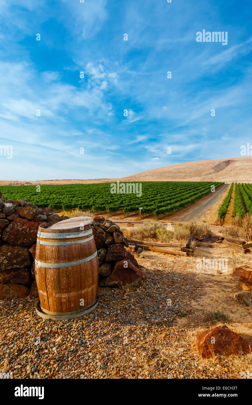 USA, Washington, Yakima Valley. Barrel and vineyard from Yakima Valley wine country in Eastern Washington. Stock Photo