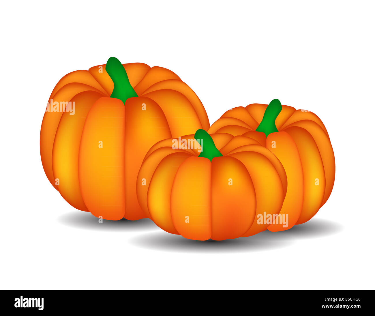 Fresh Orange Pumpkin Isolated on White Background Vector Illustr Stock ...