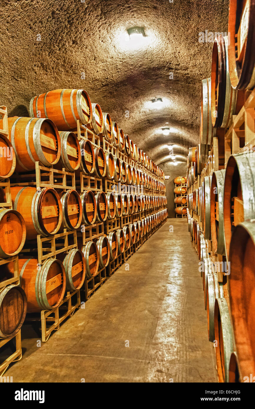 USA, Washington, Yakima Valley. Barrel cave in a winery from the Red