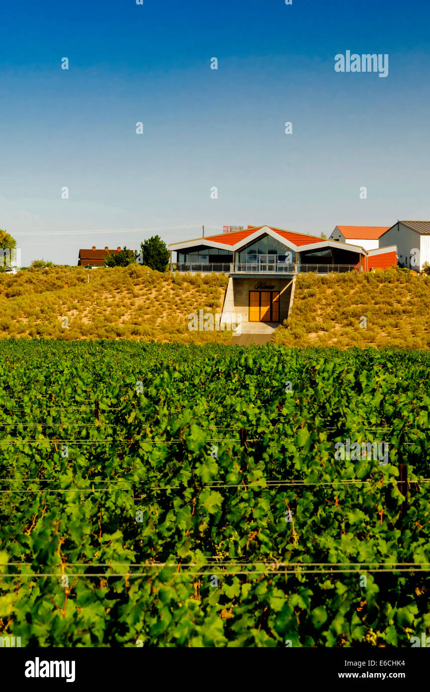 USA, Washington, Yakima Valley. Kiona Vineyards and Winery in the