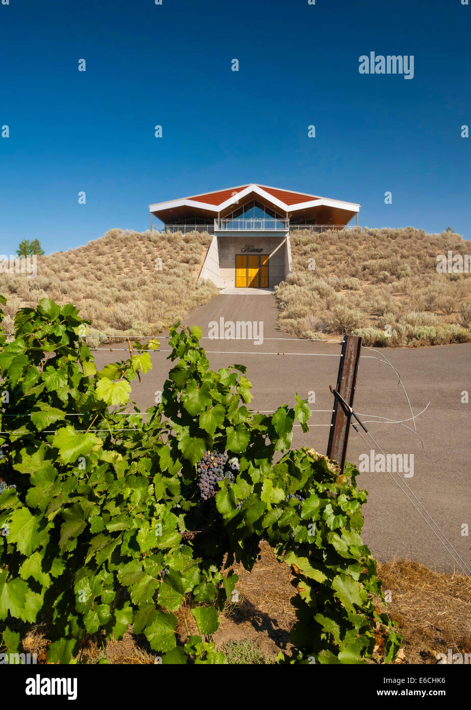 USA, Washington, Yakima Valley. Kiona Vineyards and Winery in the