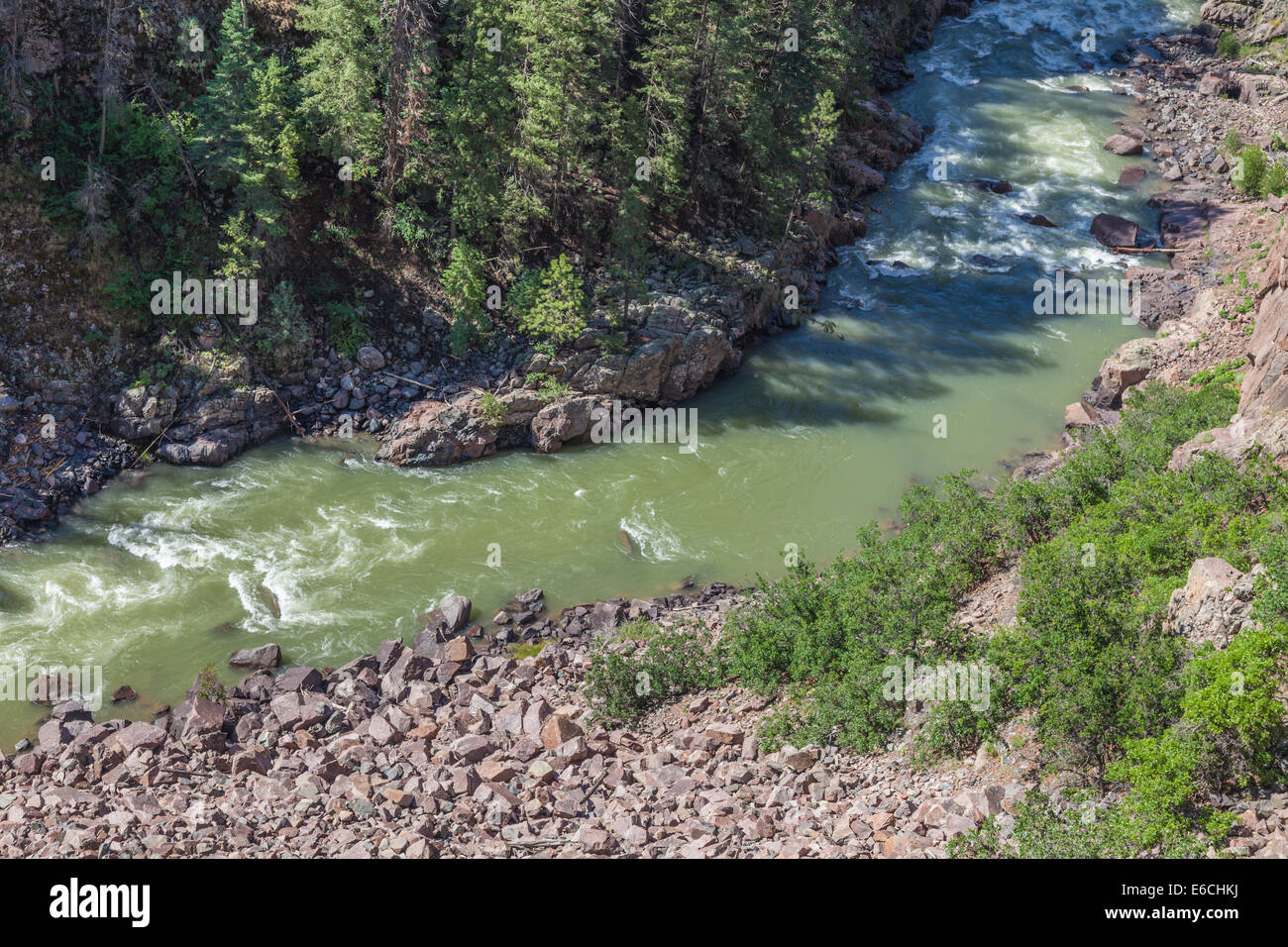 Animas River in the San Juan Mountains in Colorado. Stock Photo