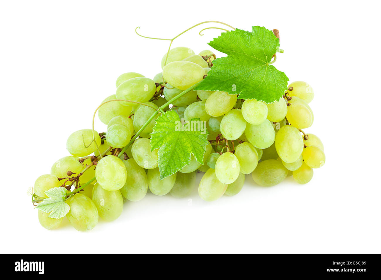 Grapes with leaves isolated on white background Stock Photo - Alamy