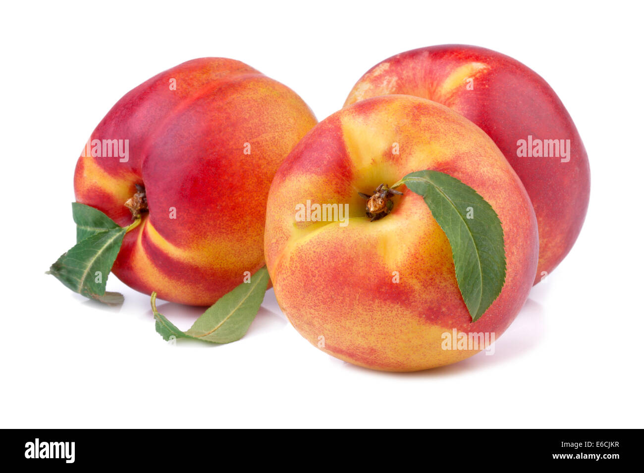 Nectarine 'Peacharine' main image 1