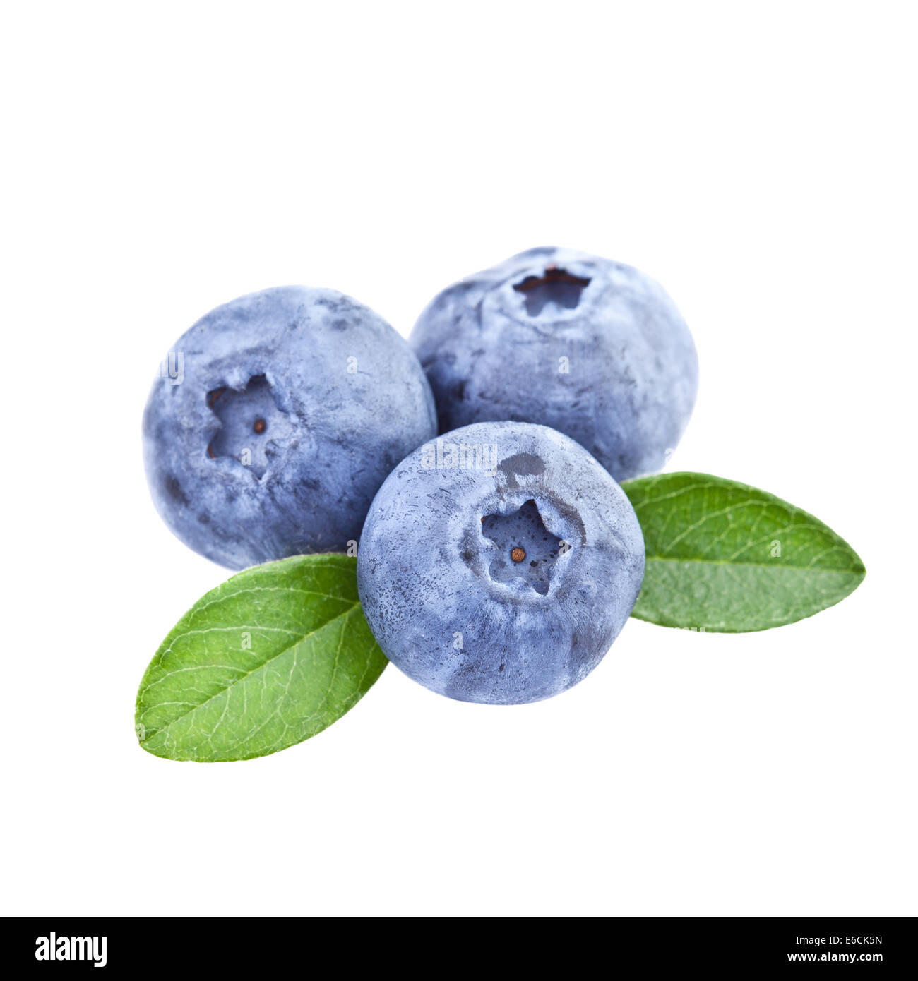 Blueberry isolated Stock Photo