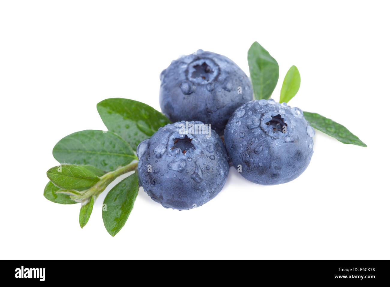 Fresh Blueberries isolated on white Stock Photo