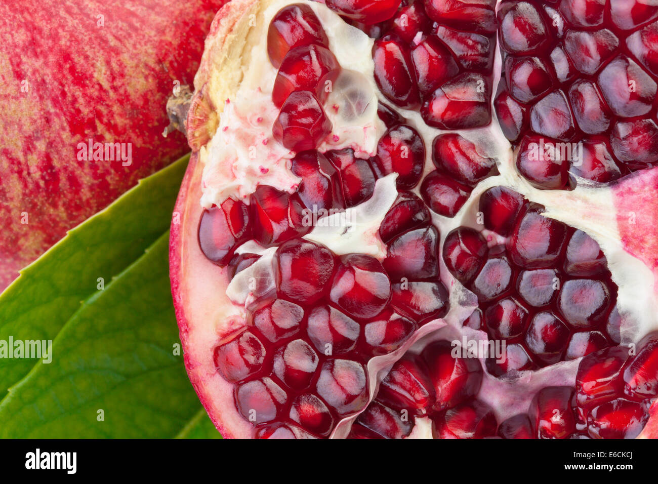 Pomegranate fruit in close up Stock Photo