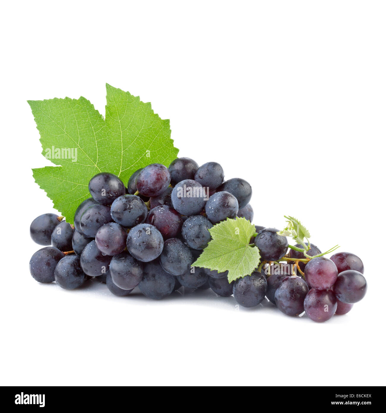 Grapes with leaves isolated on white background Stock Photo - Alamy