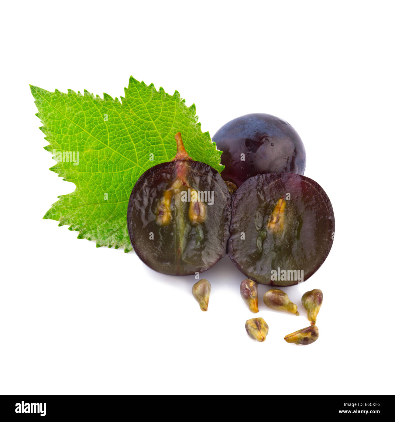 Grape Seeds grape-seeds