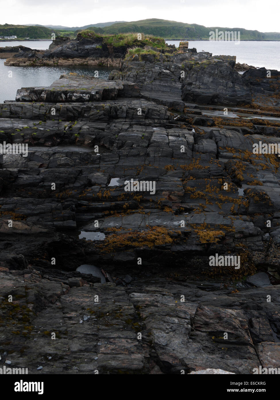 Natural slate rock, Ellenabeich, Easdale, Isle of Seil, Scotland Stock Photo