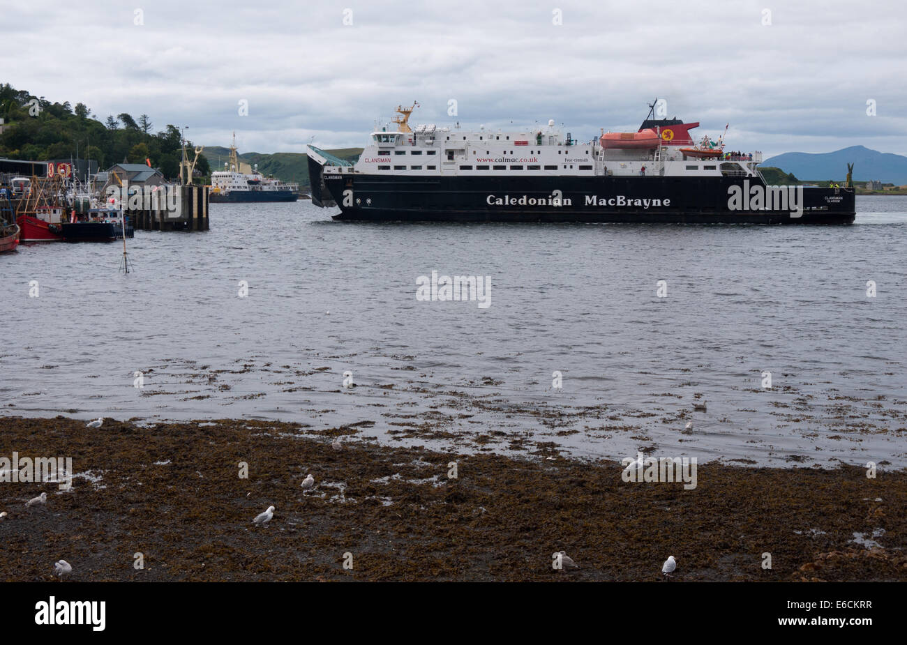 Caledonian MacBrayne ferry arriving into Oban from Mull Stock Photo Alamy