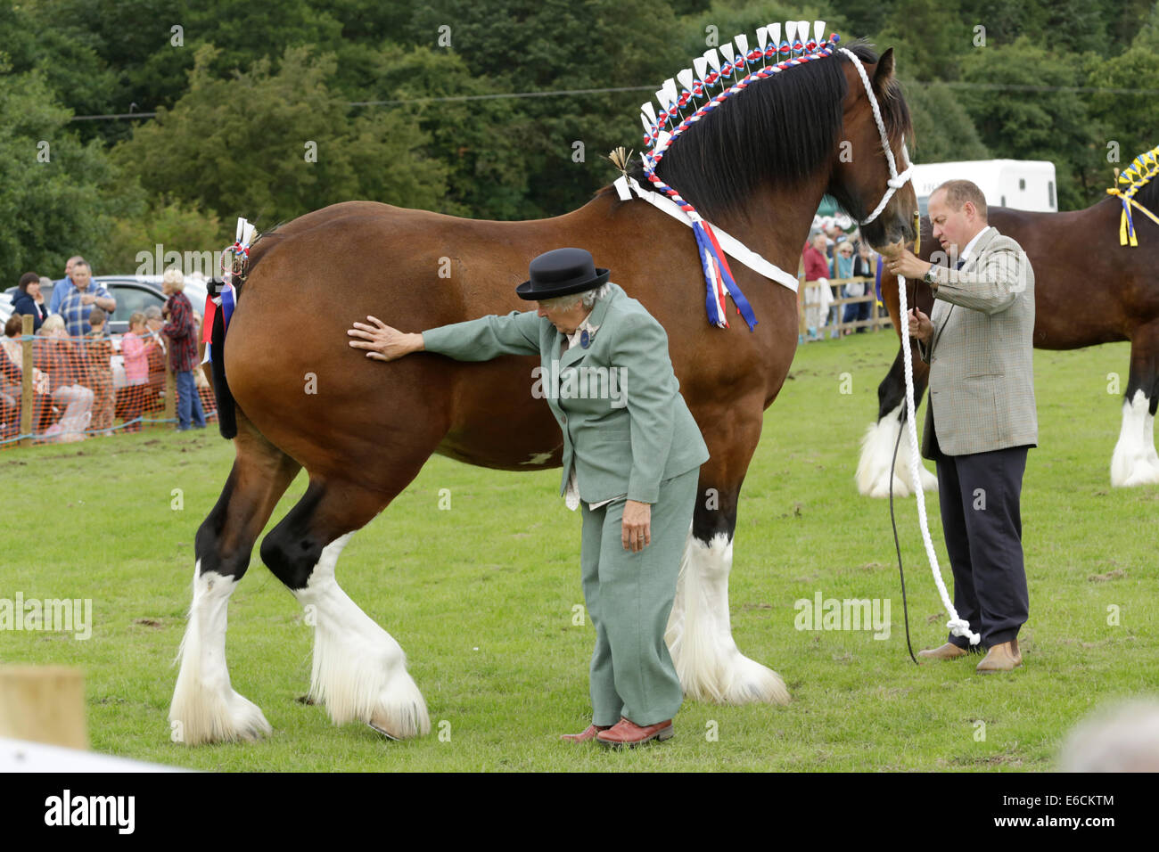 Rosedale Show 2014 The North York Moors England Stock Photo