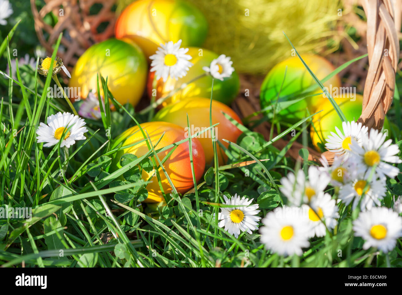 Easter Eggs hidden in Green Grass with Flowers Stock Photo - Alamy