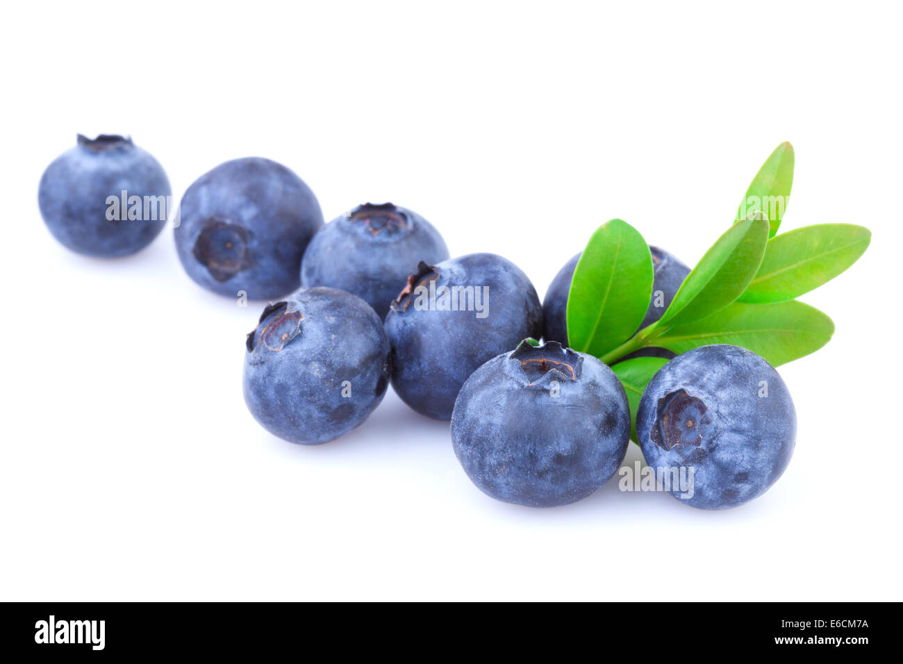 Blueberries isolated Stock Photo
